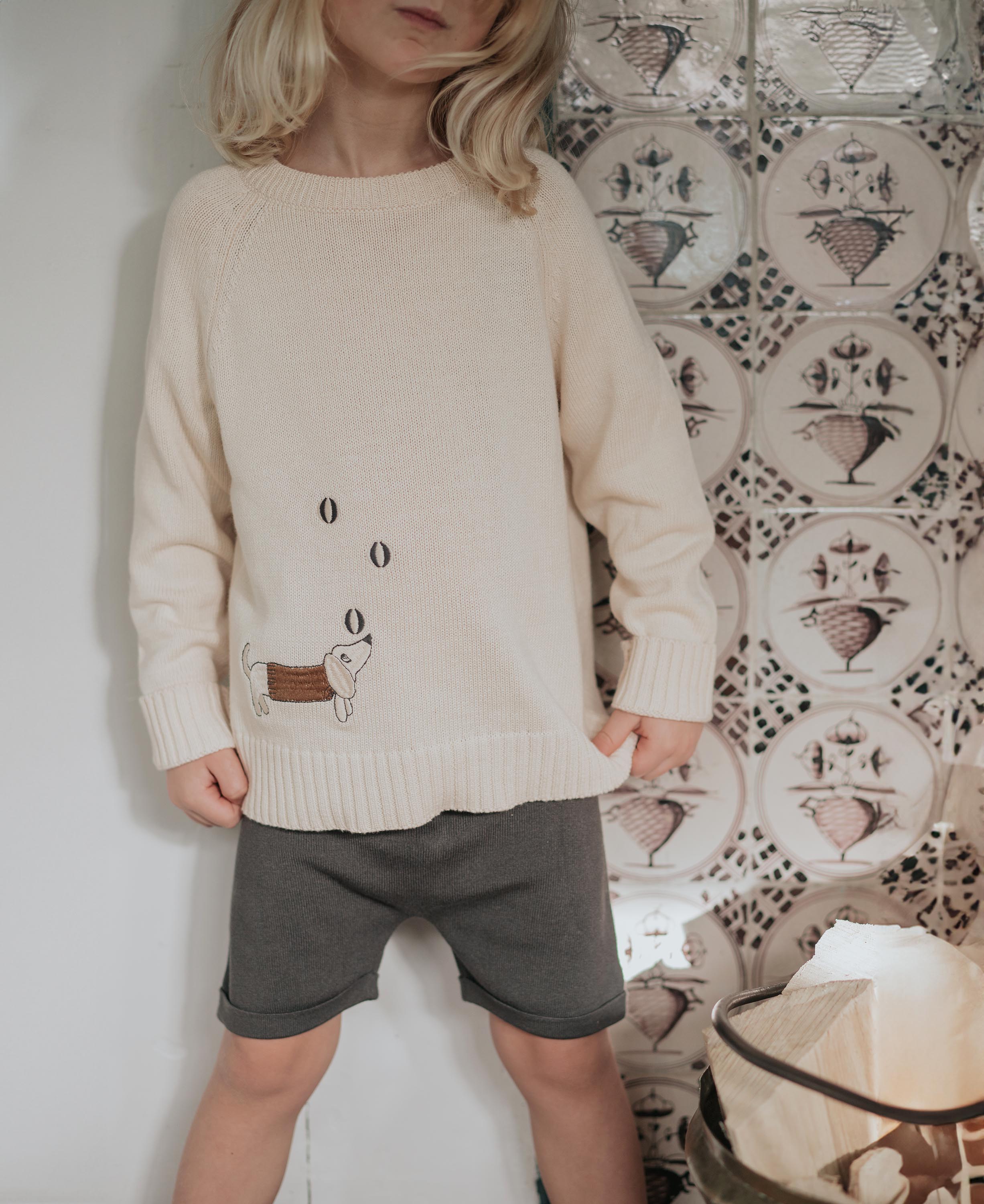 Magic Embroidered Pullover