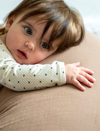 Nursing Pillow w. Washing Bag (Brown) Pregnancy Pillows That's Mine - Kuwait - Saudi Arabia