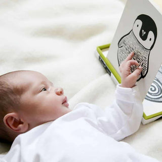 0+ Month Baby Sensory Flashcards (Animals) Flashcards Wee Gallery - Kuwait - Saudi Arabia
