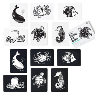0+ Month Baby Sensory Flashcards (Ocean) Flashcards Wee Gallery - Kuwait - Saudi Arabia