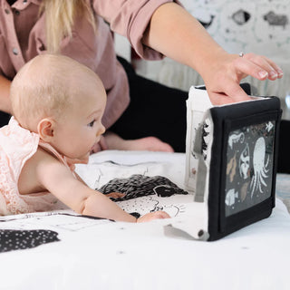 Baby Tummy Time Gallery with Mirror Flashcards Wee Gallery - Kuwait - Saudi Arabia