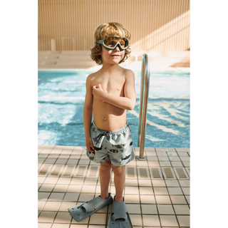 Aiden Printed Swim Shorts (Shark) Boys - Swim Shorts Liewood - Kuwait - Saudi Arabia