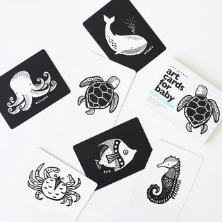 0+ Month Baby Sensory Flashcards (Ocean) Flashcards Wee Gallery - Kuwait - Saudi Arabia